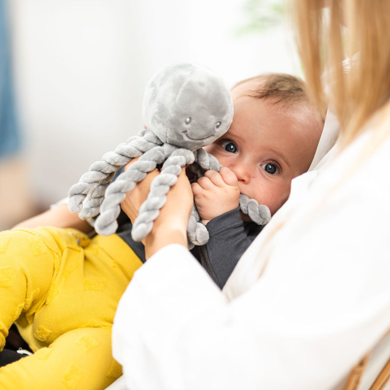  octopus pieuvre peluche gris foncé 20 cm 